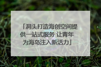 洞头打造海创空间提供一站式服务 让青年为海岛注入新活力