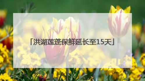 洪湖莲蓬保鲜延长至15天