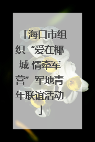 海口市组织“爱在椰城 情牵军营”军地青年联谊活动