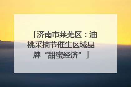 济南市莱芜区：油桃采摘节催生区域品牌“甜蜜经济”