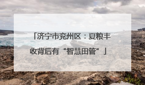 济宁市兖州区：夏粮丰收背后有“智慧田管”