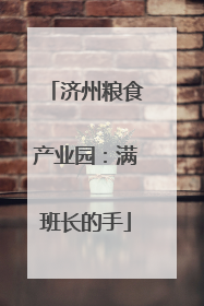 济州粮食产业园：满班长的手
