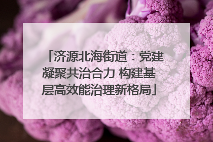 济源北海街道：党建凝聚共治合力 构建基层高效能治理新格局