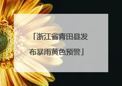 浙江省青田县发布暴雨黄色预警