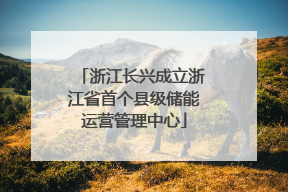 浙江长兴成立浙江省首个县级储能运营管理中心
