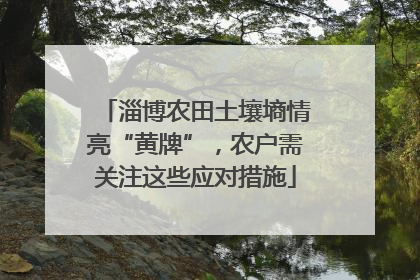 淄博农田土壤墒情亮“黄牌”，农户需关注这些应对措施