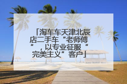 淘车车天津北辰店二手车“老师傅”，以专业征服“完美主义”客户