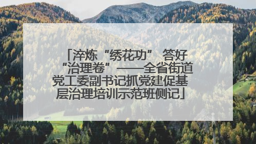 淬炼“绣花功” 答好“治理卷”——全省街道党工委副书记抓党建促基层治理培训示范班侧记