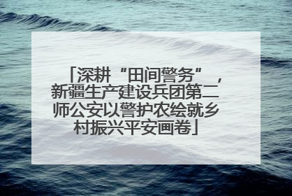 深耕“田间警务”，新疆生产建设兵团第二师公安以警护农绘就乡村振兴平安画卷
