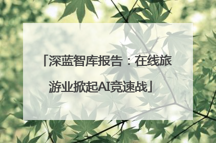 深蓝智库报告：在线旅游业掀起AI竞速战