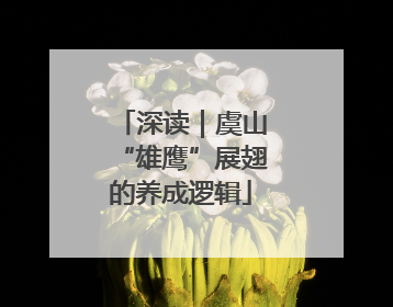 深读｜虞山“雄鹰”展翅的养成逻辑