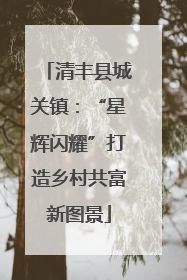 清丰县城关镇：“星辉闪耀”打造乡村共富新图景
