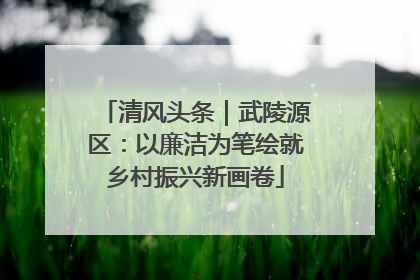 清风头条｜武陵源区：以廉洁为笔绘就乡村振兴新画卷