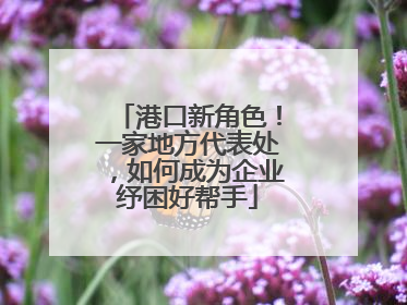 港口新角色！一家地方代表处，如何成为企业纾困好帮手