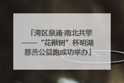 湾区泉涌·南北共擎——“花楸树”杯明湖慈善公益跑成功举办