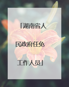 湖南省人民政府任免工作人员