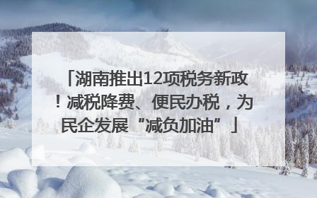 湖南推出12项税务新政！减税降费、便民办税，为民企发展“减负加油”