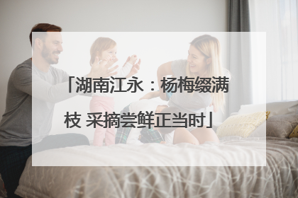 湖南江永：杨梅缀满枝 采摘尝鲜正当时