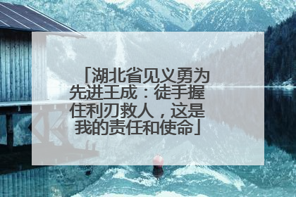 湖北省见义勇为先进王成：徒手握住利刃救人，这是我的责任和使命