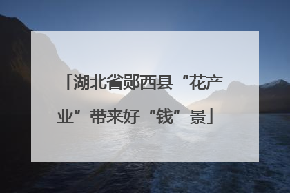 湖北省郧西县“花产业”带来好“钱”景
