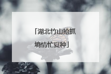 湖北竹山抢抓墒情忙夏种