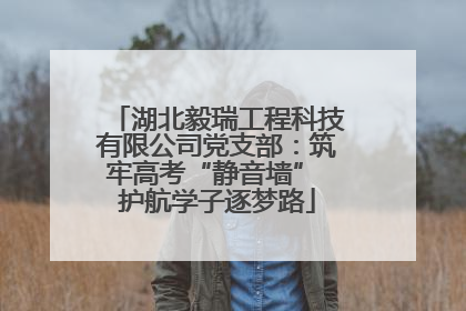 湖北毅瑞工程科技有限公司党支部：筑牢高考“静音墙” 护航学子逐梦路