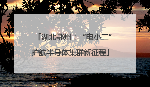 湖北鄂州：“电小二”护航半导体集群新征程
