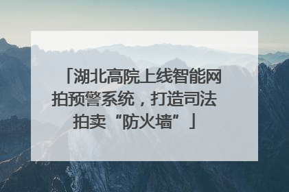 湖北高院上线智能网拍预警系统，打造司法拍卖“防火墙”