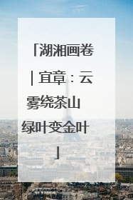 湖湘画卷｜宜章：云雾绕茶山 绿叶变金叶