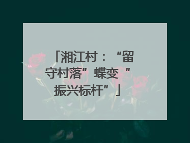 湘江村：“留守村落”蝶变“振兴标杆”