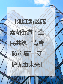 湘江新区咸嘉湖街道：全民共筑“青春防毒墙” 守护无毒未来