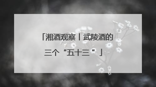 湘酒观察丨武陵酒的三个“五十三 ”