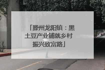滕州龙阳镇：黑土豆产业铺就乡村振兴致富路