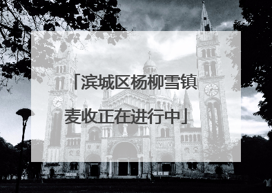 滨城区杨柳雪镇麦收正在进行中