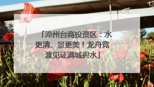 漳州台商投资区：水更清、景更美！龙舟竞渡见证满城碧水