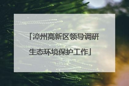 漳州高新区领导调研生态环境保护工作