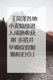 菏泽各地小麦陆续进入成熟收获期 多措并举确保夏粮颗粒归仓
