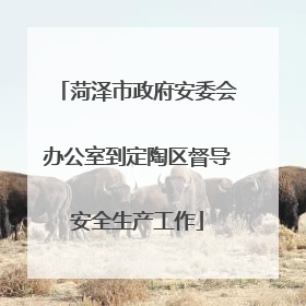 菏泽市政府安委会办公室到定陶区督导安全生产工作