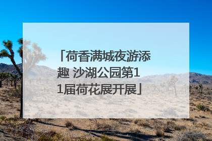 荷香满城夜游添趣 沙湖公园第11届荷花展开展