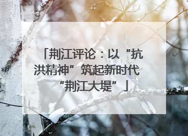 荆江评论：以“抗洪精神”筑起新时代“荆江大堤”