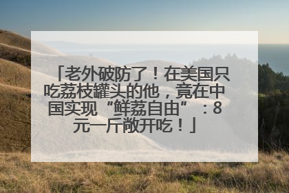 老外破防了！在美国只吃荔枝罐头的他，竟在中国实现“鲜荔自由”：8元一斤敞开吃！