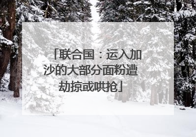 联合国：运入加沙的大部分面粉遭劫掠或哄抢