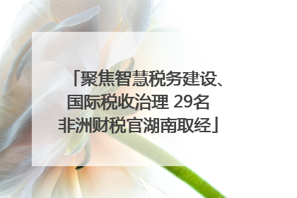 聚焦智慧税务建设、国际税收治理 29名非洲财税官湖南取经