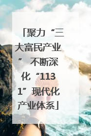 聚力“三大富民产业” 不断深化“1131”现代化产业体系