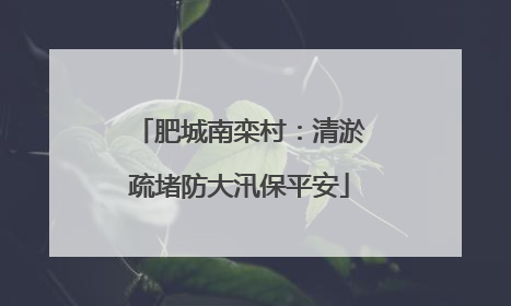 肥城南栾村：清淤疏堵防大汛保平安
