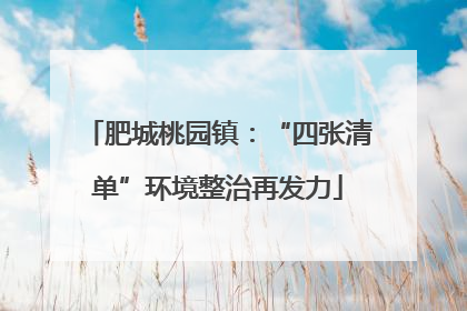 肥城桃园镇：“四张清单”环境整治再发力