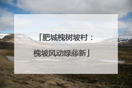 肥城槐树坡村：槐坡风动绿藤新