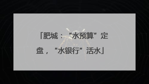 肥城：“水预算”定盘，“水银行”活水