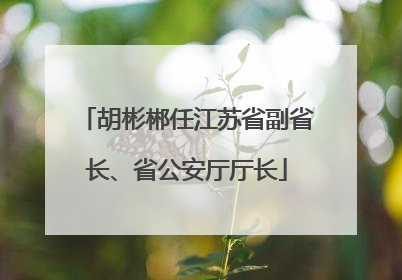 胡彬郴任江苏省副省长、省公安厅厅长