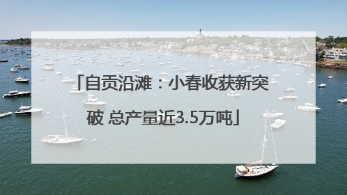 自贡沿滩：小春收获新突破 总产量近3.5万吨